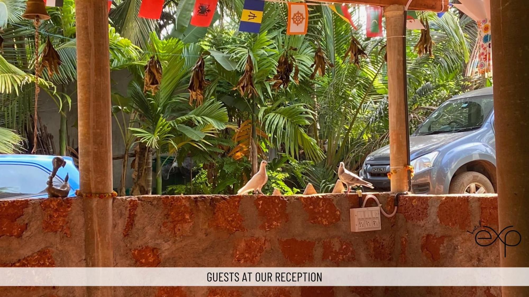 Hostelexp, Gokarna - A Slow-Paced Backpackers Community Екстериор снимка